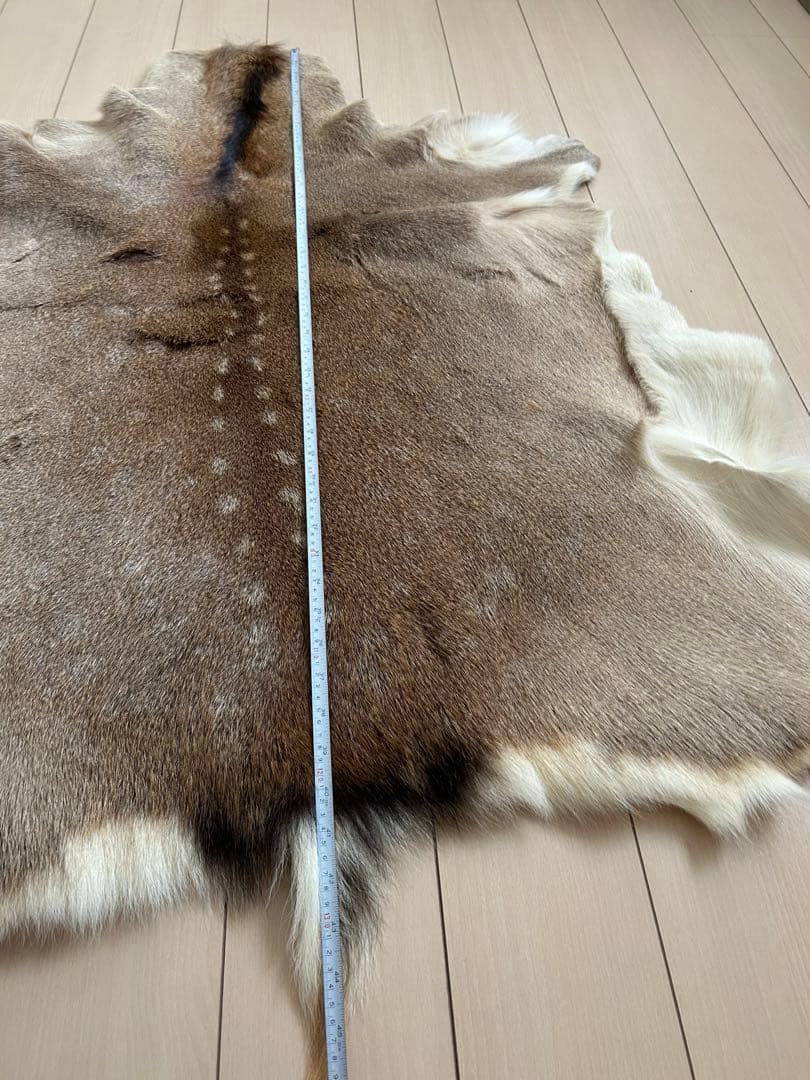 蝦夷鹿　エゾシカ　毛皮敷物　キャンプ　ブッシュクラフト