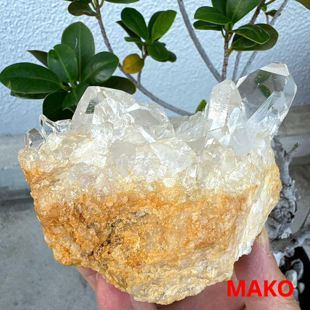 M1724☆水晶クラスター1.0Kg☆乙女鉱山産☆天然石　原石 N50413-C