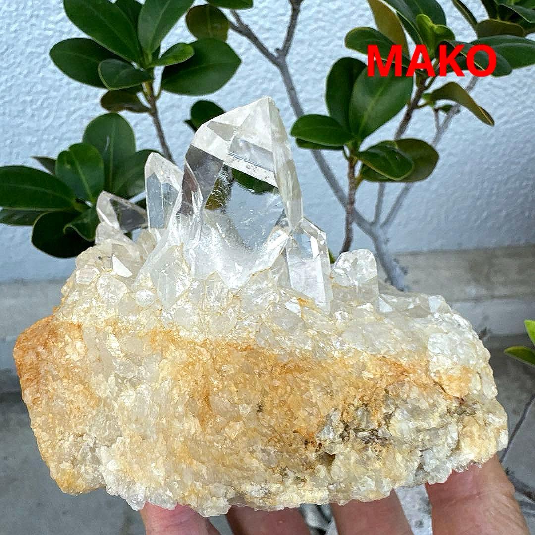 M1724☆水晶クラスター1.0Kg☆乙女鉱山産☆天然石　原石 N50413-C