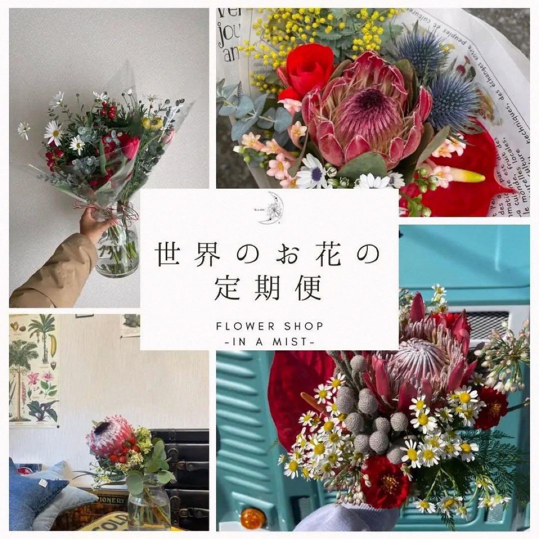 【世界のお花の定期便】月×2回の1年分のブーケ。