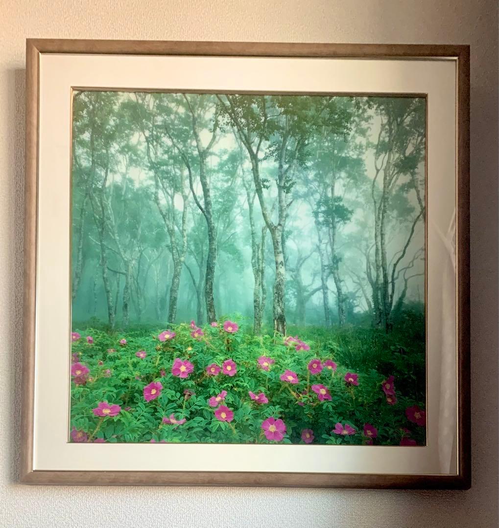 風景アート「ハマナス咲く厚岸白樺の杜」