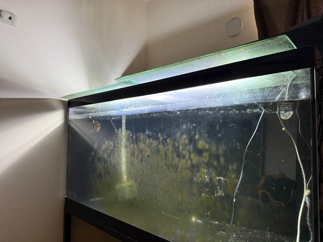 大型アクリル水槽一式ライト以外