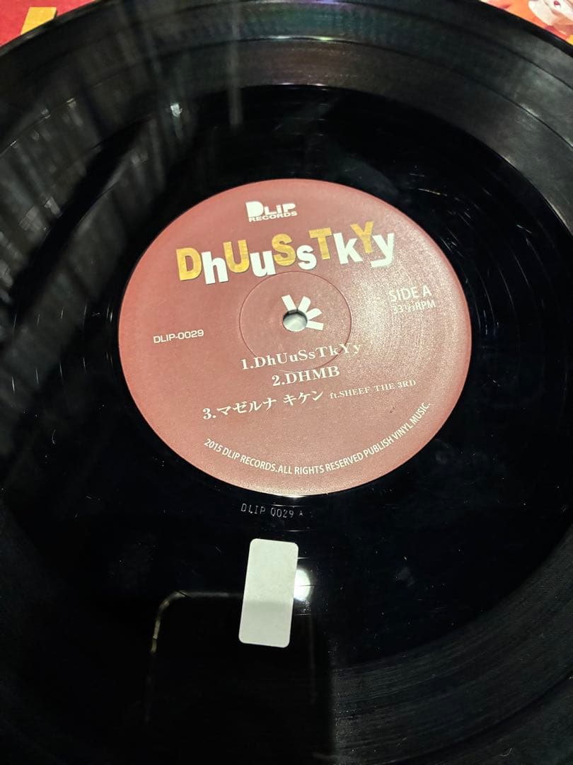 DUSTY HUSKY DhuUsStKyY アナログ 2LP レコード 2組