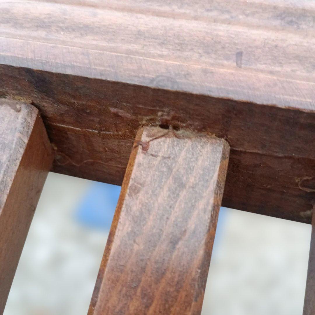 4938B）サボォナローラチェアー　イタリア製