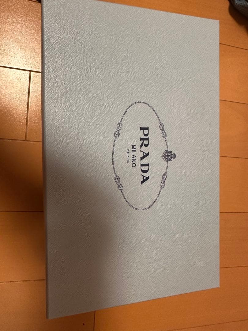 PRADA スリングバッグ パンプス メタリック