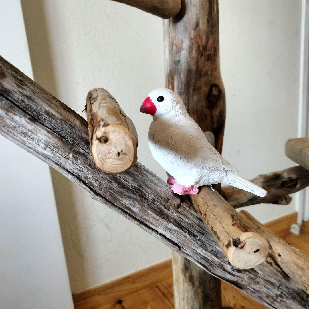 はな バードアスレチックジム ㊽ 天然木 自然木 止まり木 インコ オウム