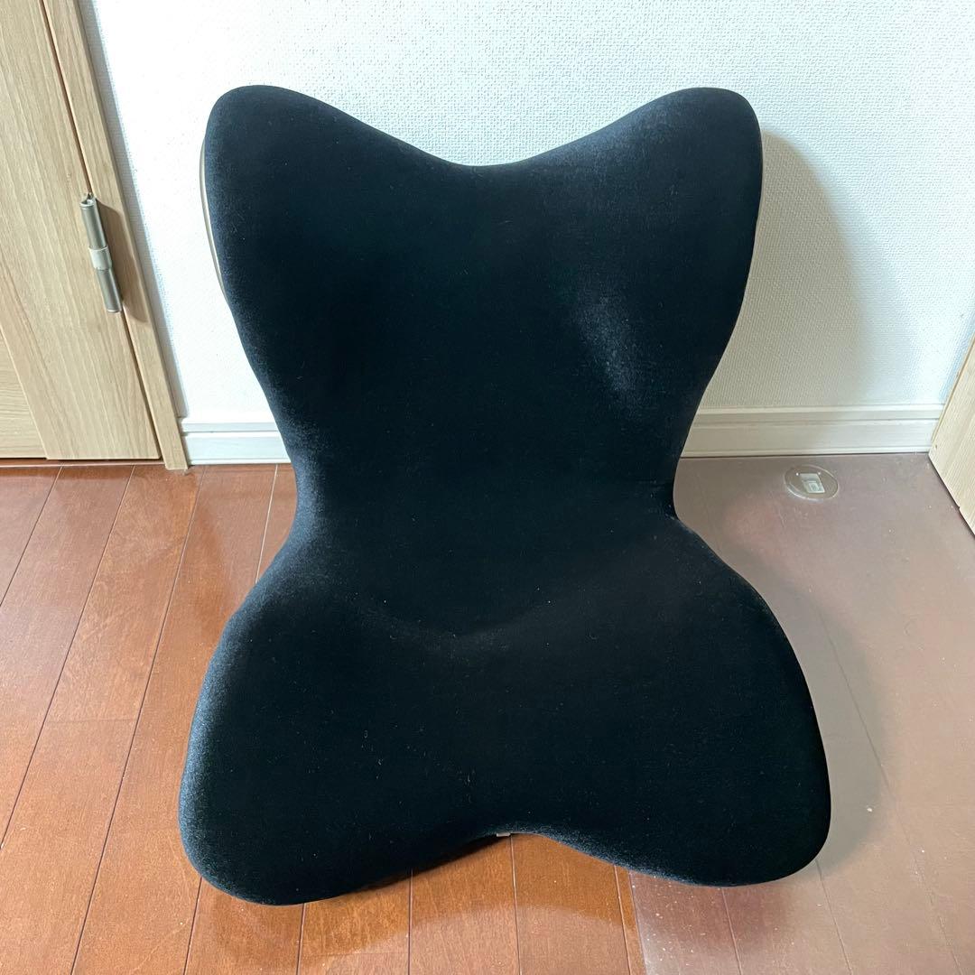 スタイルプレミアムデラックス（Style PREMIUM DX）