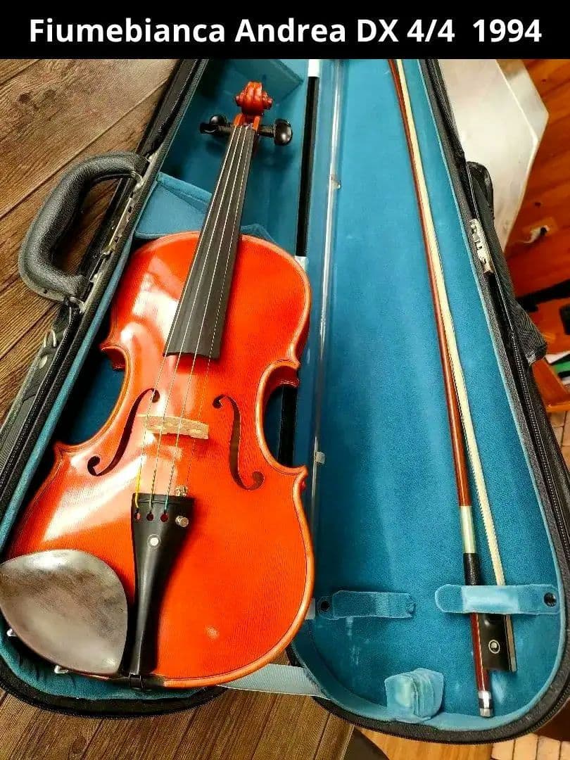 Fiumebianca Andrea DX 4/4 バイオリン 1994