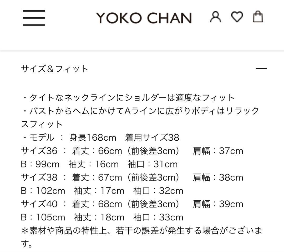 ⭐︎hana⭐︎ YOKO CHAN ハーフスリーブラップフリルブラウス 36