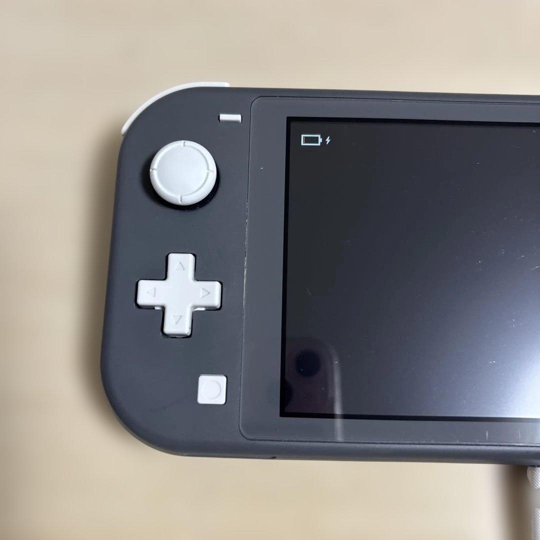 Nintendo Switch Lite グレー 動作OK 元箱付