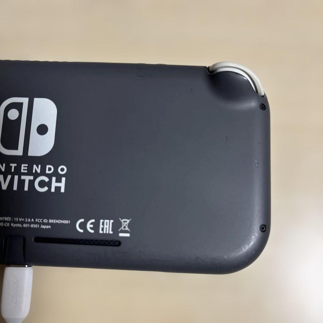 Nintendo Switch Lite グレー 動作OK 元箱付