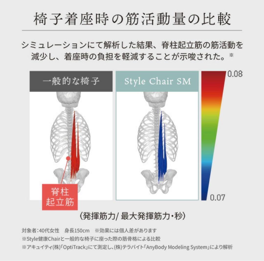 Style Chair SM スタイルチェア ダイニングチェア 学習椅子 矯正