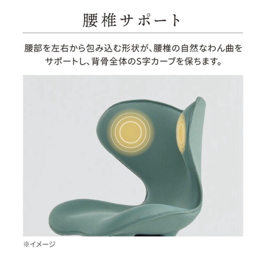 Style Chair SM スタイルチェア ダイニングチェア 学習椅子 矯正