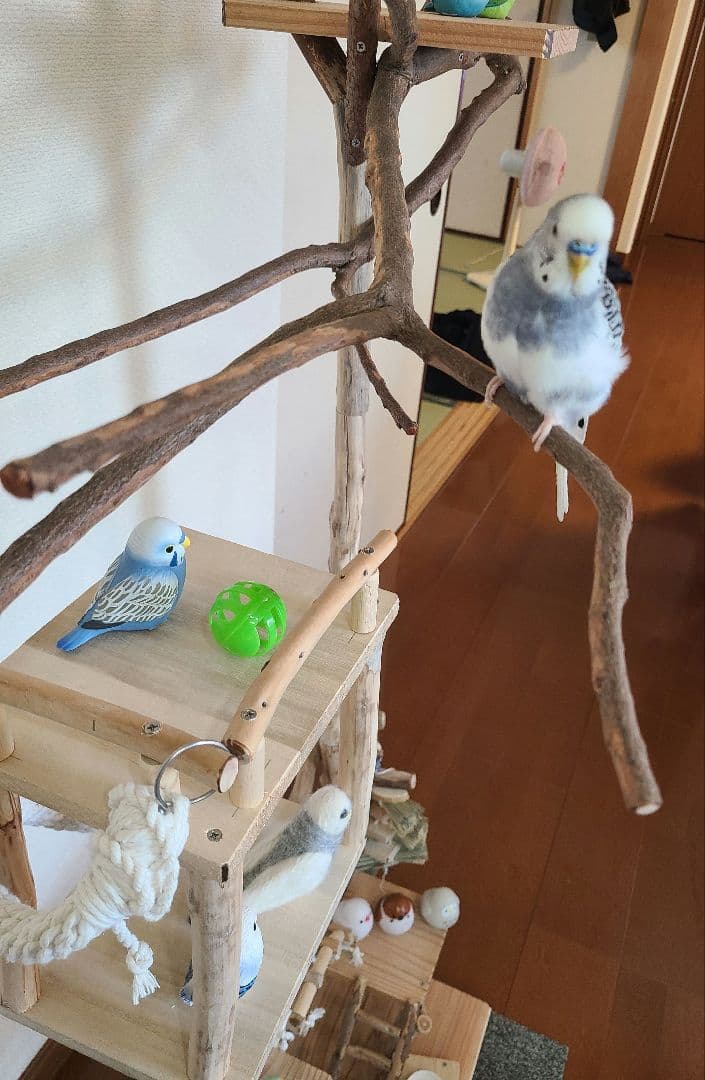 ① むらゆオーダーページ　ハンドメイド　流木　アスレチック