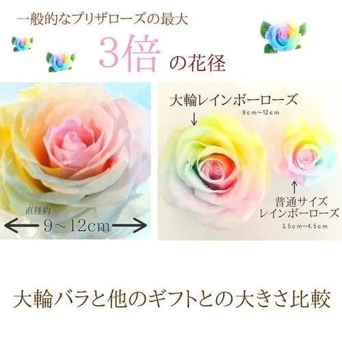 【高級プリザーブドフラワー】パステルレインボーローズ ボックス