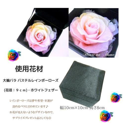 【高級プリザーブドフラワー】パステルレインボーローズ ボックス