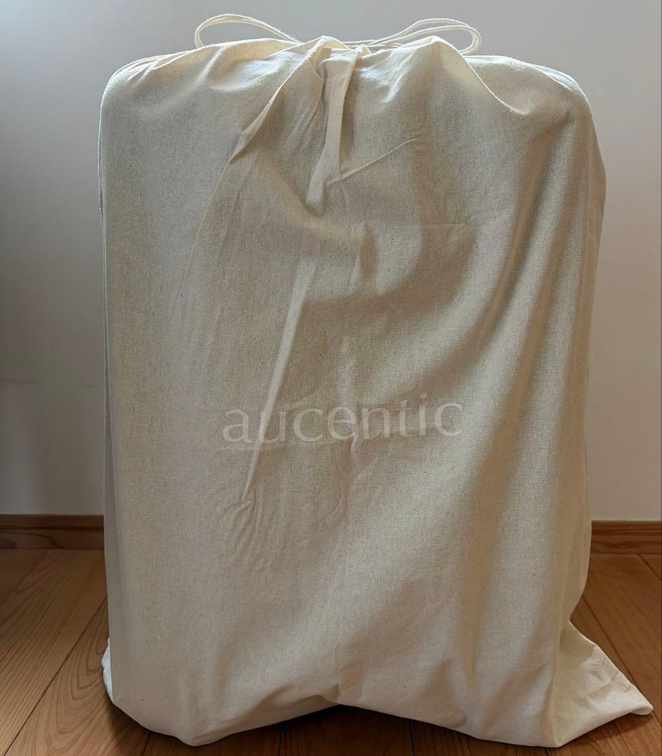 【aucentic】ブラックキャリーケース TSAロック付き