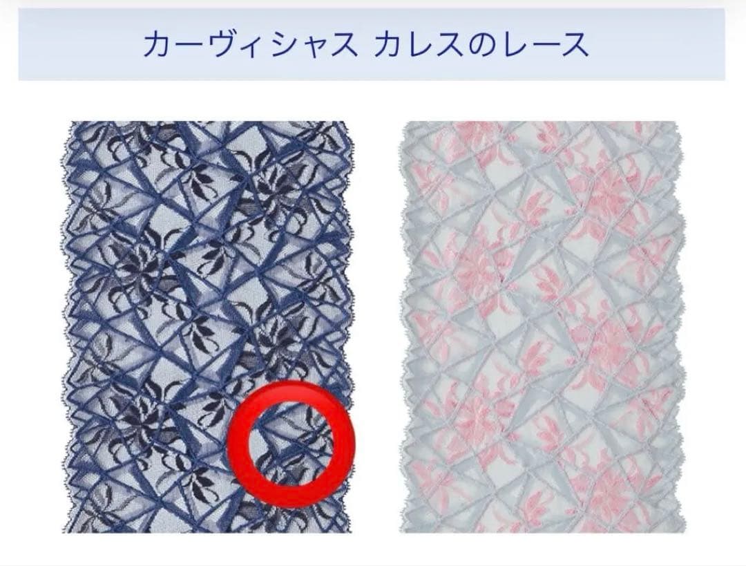 マルコ　カーヴィシャス カレスフルカップショートブラジャー補正下着F85 ２枚組