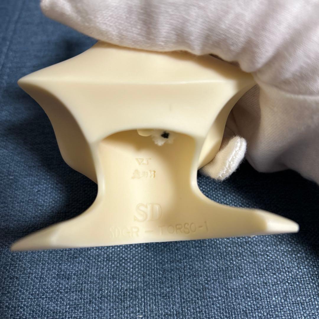 SD トルソーベース　ボークス