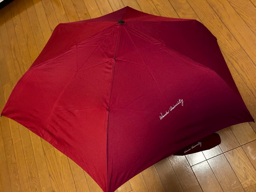 ［値下］早稲田大学125周年記念:大隈講堂外壁タイル:1927－2007。