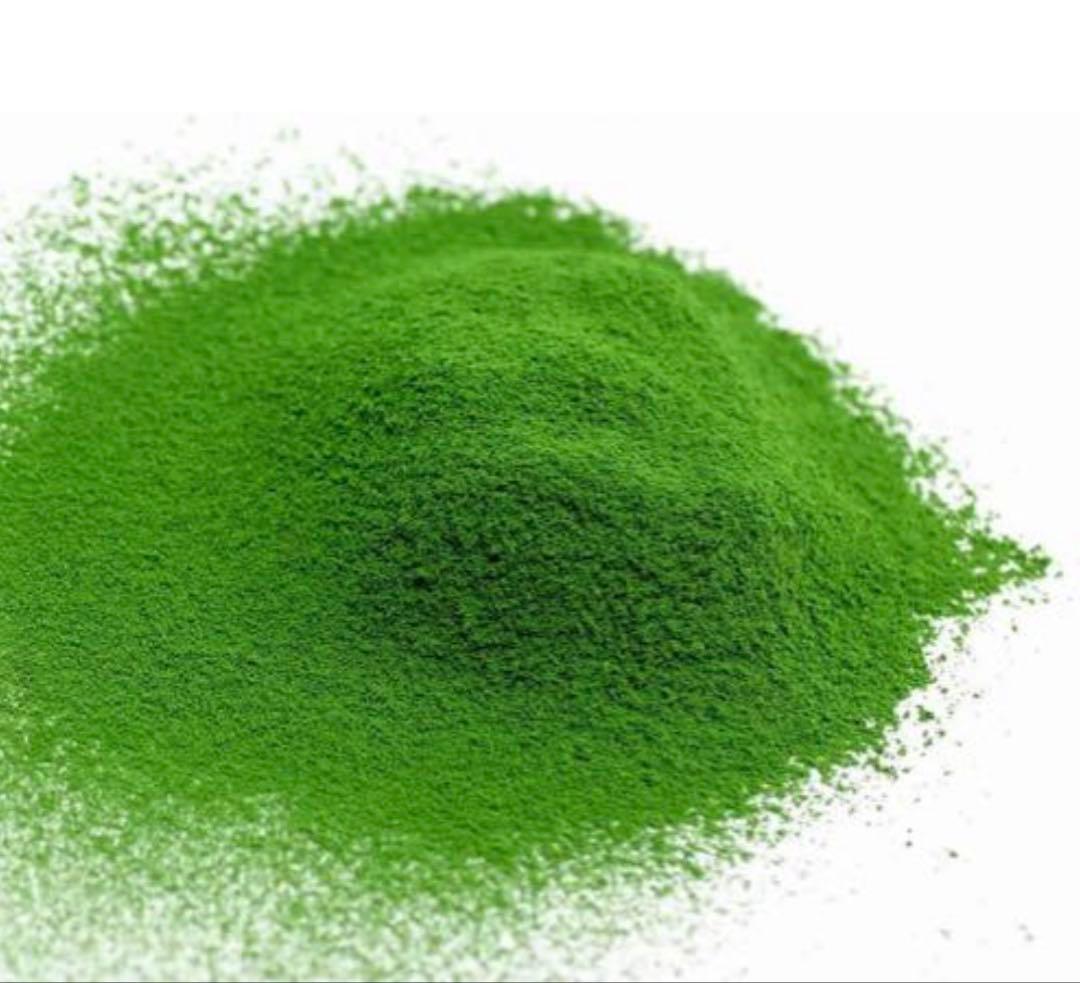 丸久小山園　抹茶　若竹100g×6袋　ヤブ