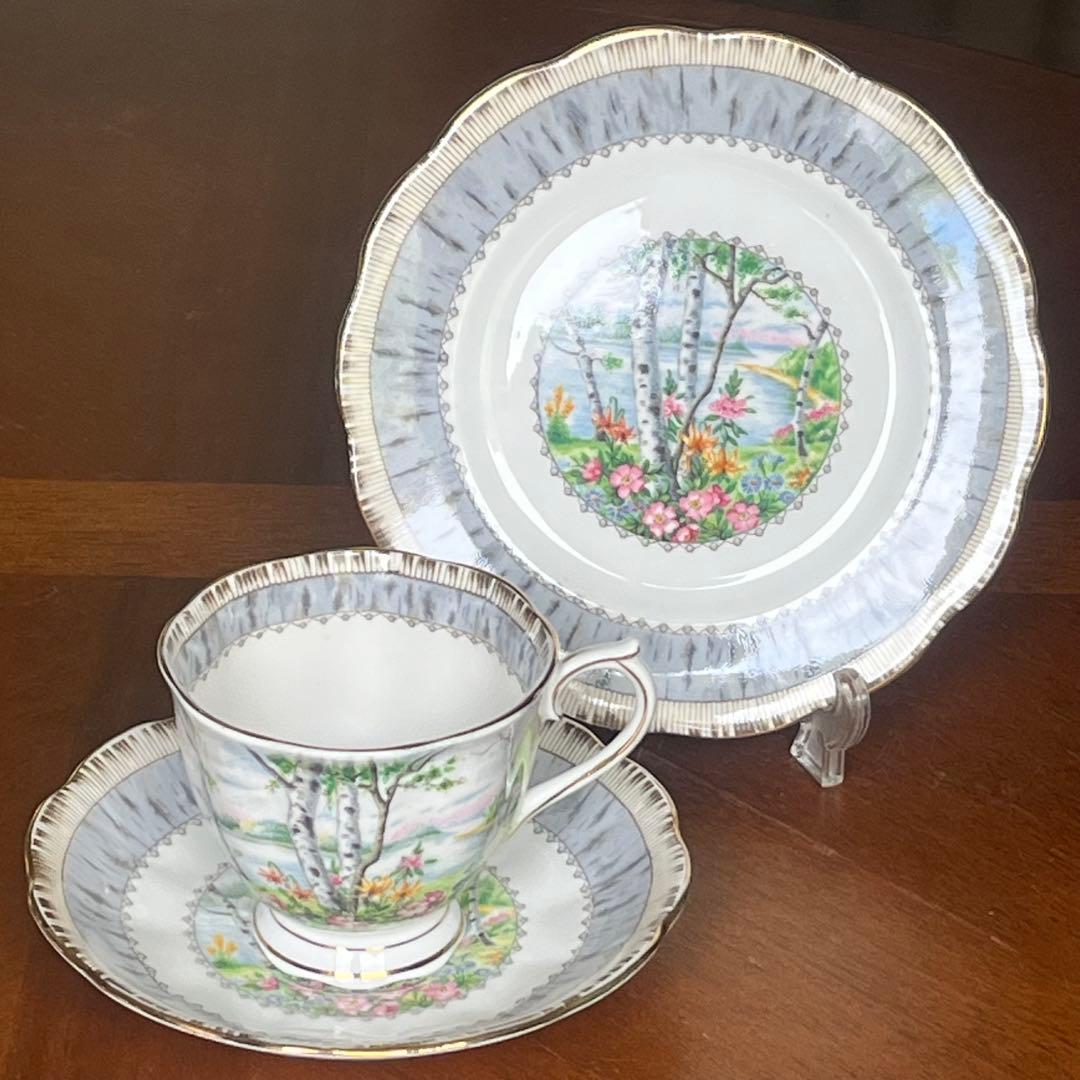 【レア美品】ロイヤルアルバート★シルバーバーチ★トリオ