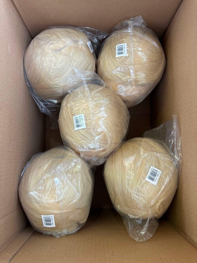 値下げ。カットウィッグ練習用iP100G 5体セット