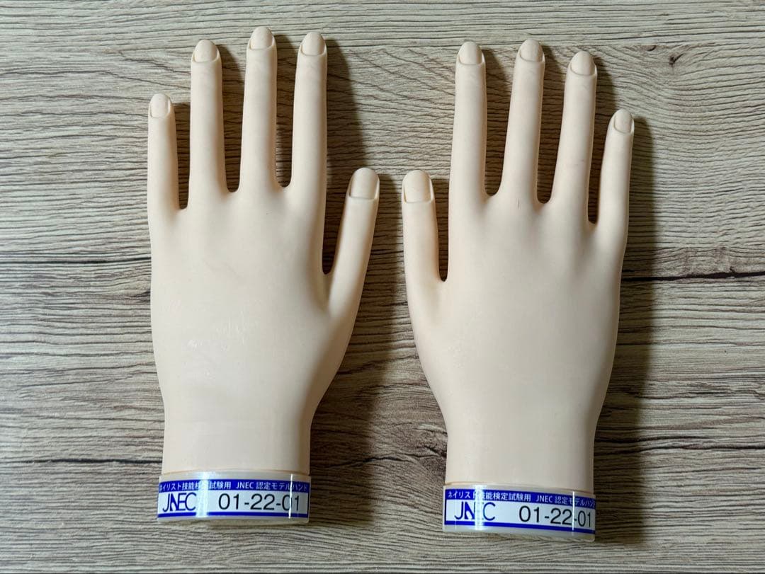 JNEC ネイリスト技能検定試験 認定モデルハンド