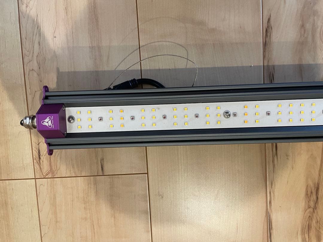 蝦江　Helios Green LED HG-PUP