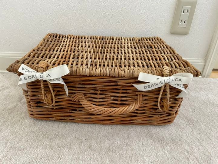可愛いカゴ　トランク型バスケット　ピクニック