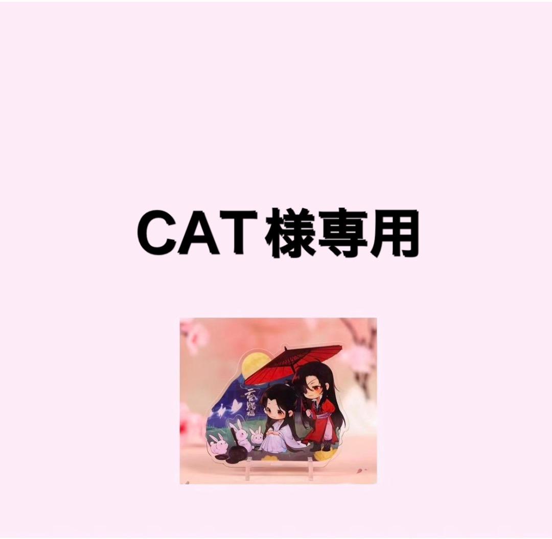 その他 CAT