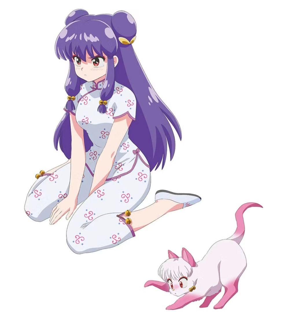 フェリシモ らんま1/2コラボ シャンプー風ルームウェア