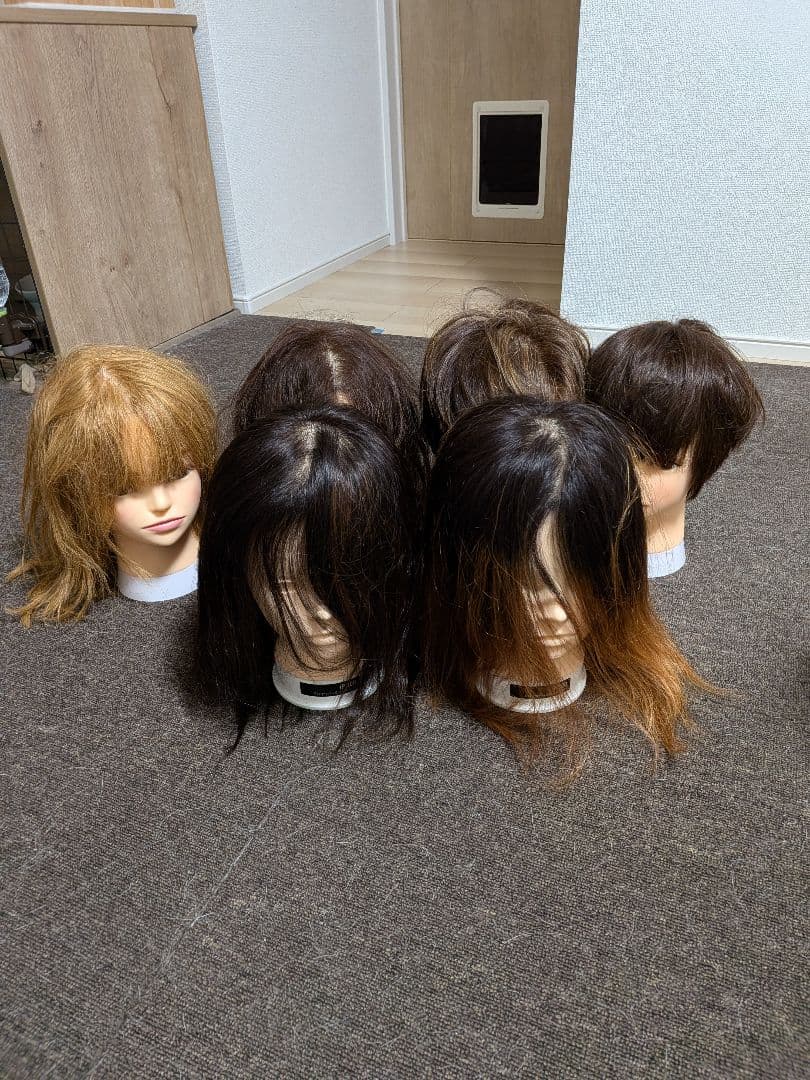 カットウィッグ6体