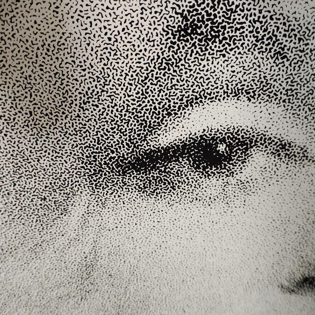 マリンモンローミラー