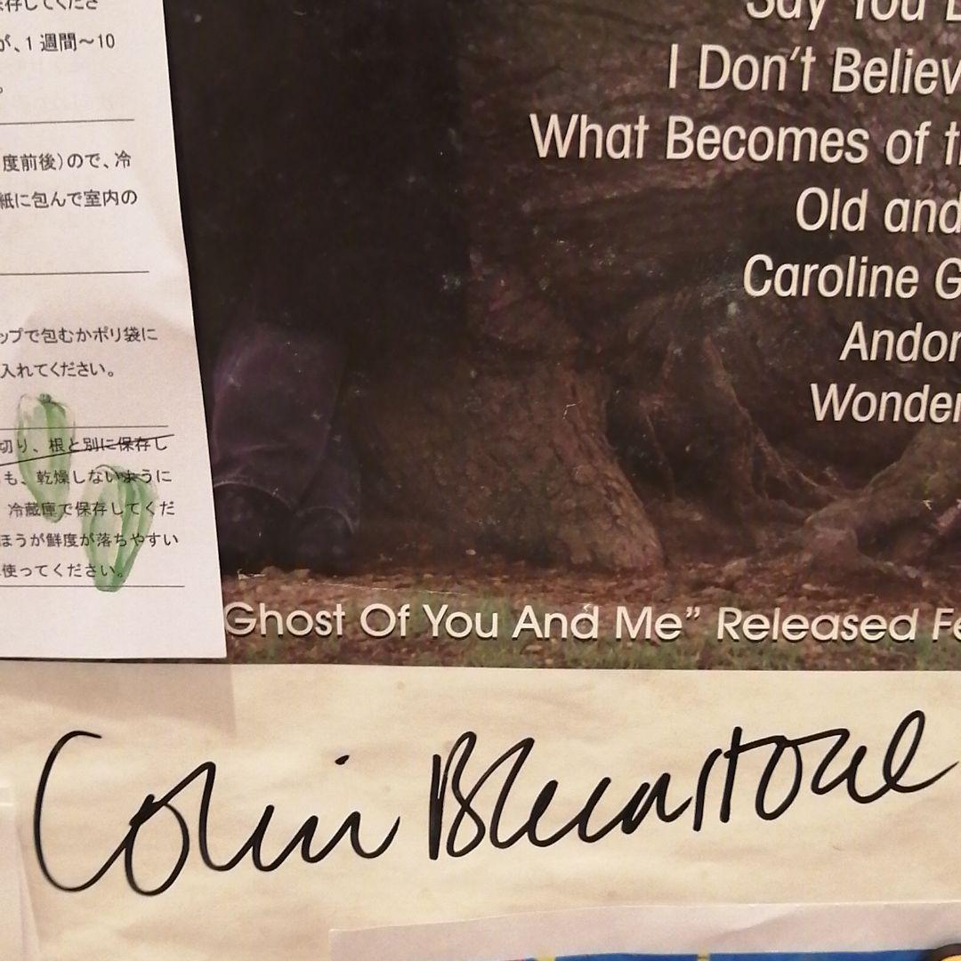 直筆サイン入り　ゾンビーズ