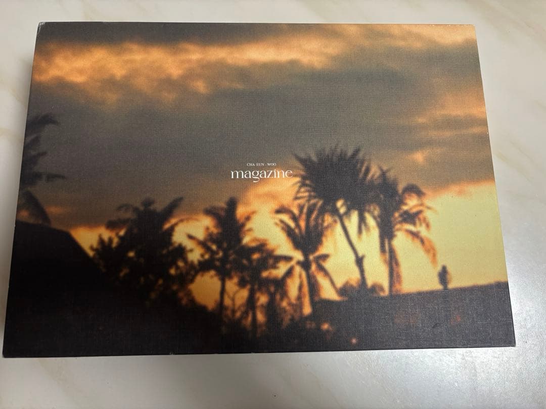 【抜けなし】チャウヌ magazine 写真集　トレカ