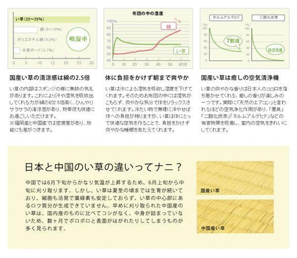 添島勲商店 国産 い草花ござ ラグ マハラジャ 約190×190cm　茶系