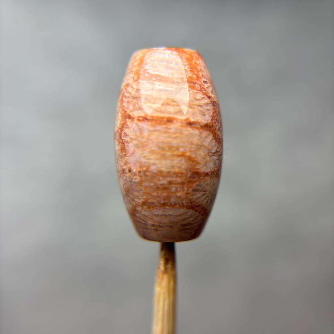 もんちゃんフォッシルコーラル　天珠　1-283