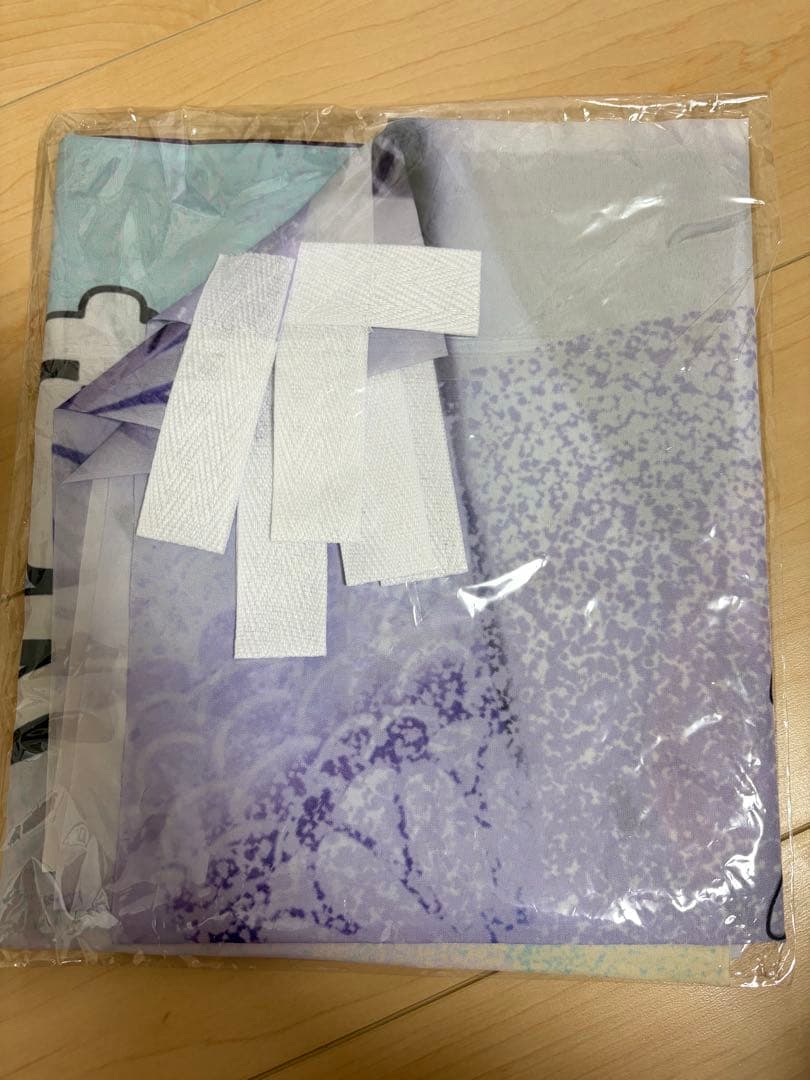 乃木坂46 直筆サイン入り個別のぼり2023 向井葉月