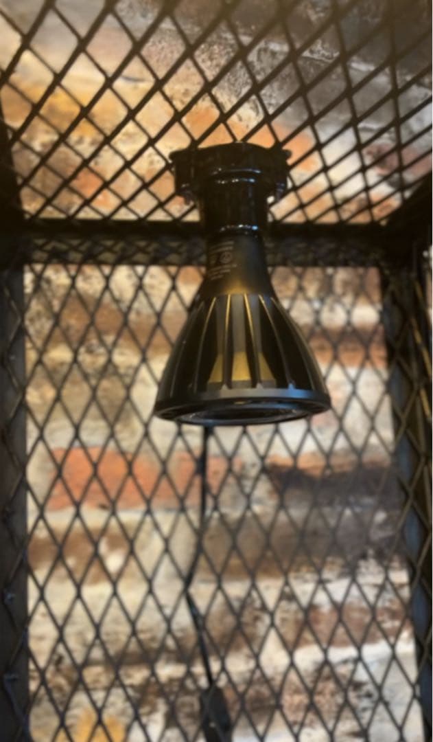 300×300mm インダストリアルな植物棚　アイアンシェル