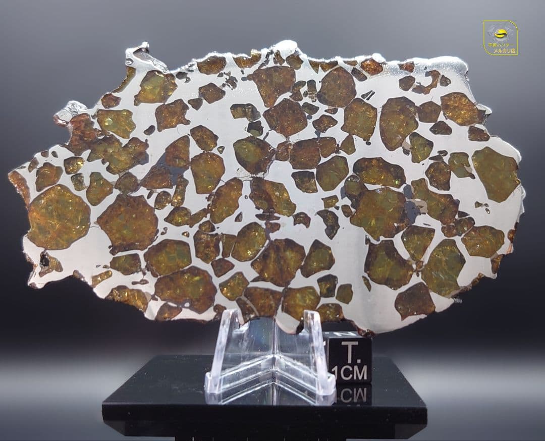 ✨イミラック パラサイト 隕石 70g ⭐⭐