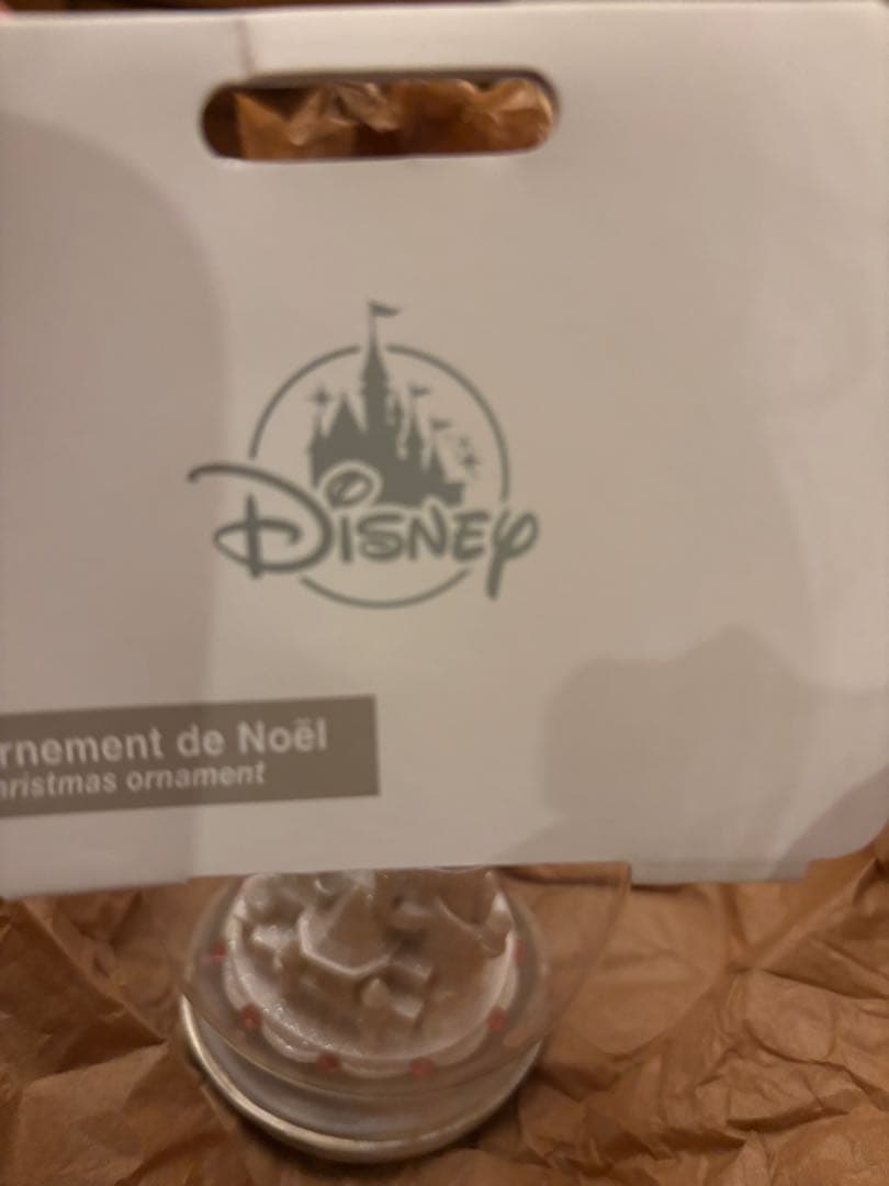 Paris ディズニー　オーナメント　眠れる森の美女