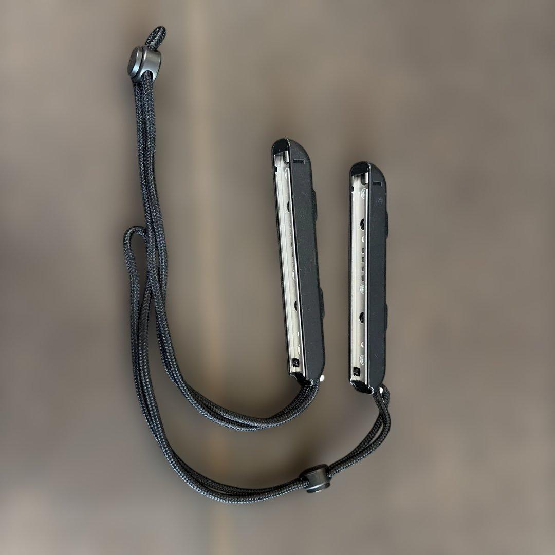 Nintendo Switch 通常版 本体一式＋SDカード256GB、ケース