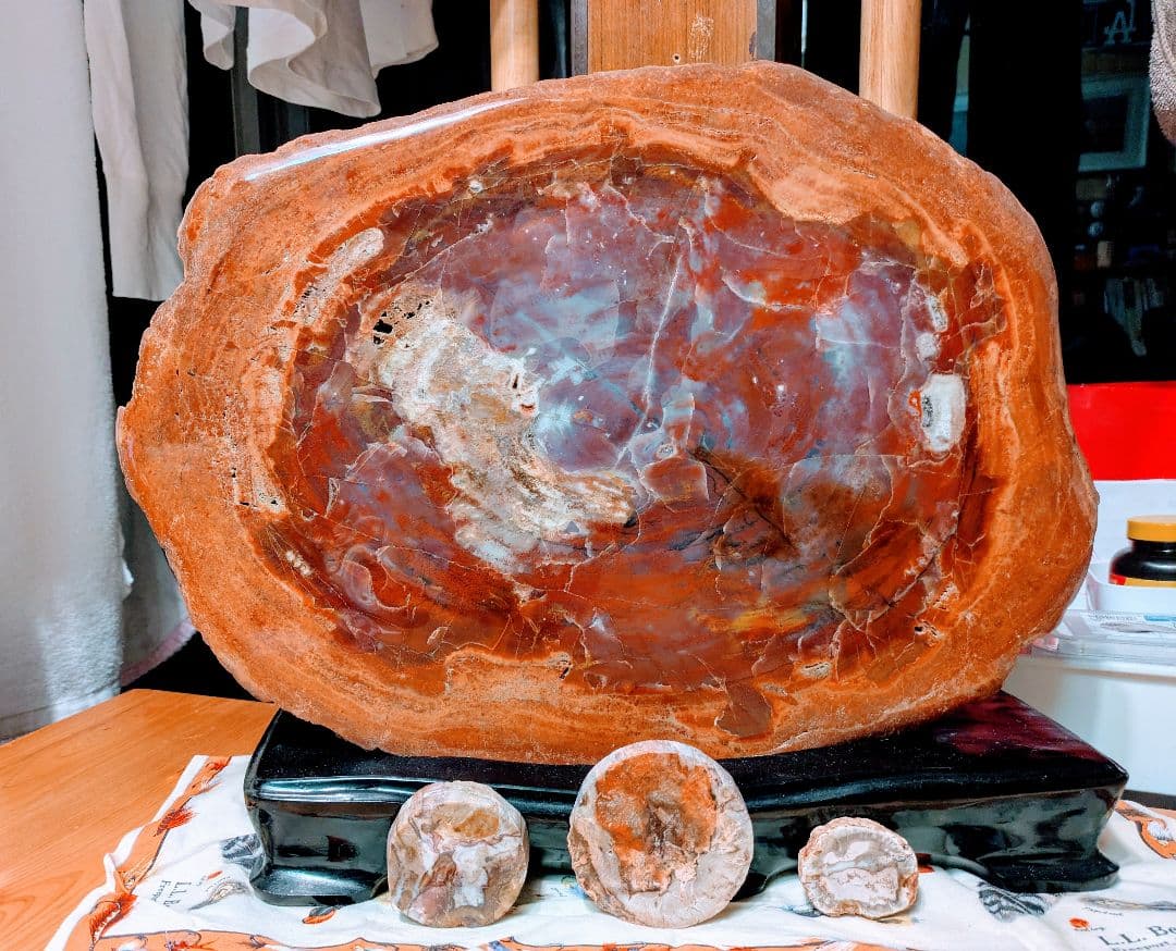 珪化木、木の化石 アリゾナ州産 重量は約15kg 台座約3kg、合計約18kg