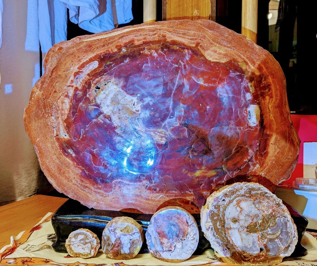 珪化木、木の化石 アリゾナ州産 重量は約15kg 台座約3kg、合計約18kg