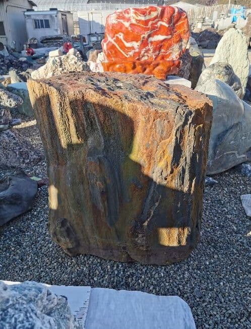 秋田産　珪化木　370キロ　木化石　庭石　鑑賞石　石　置物　オブジェ　インテリア