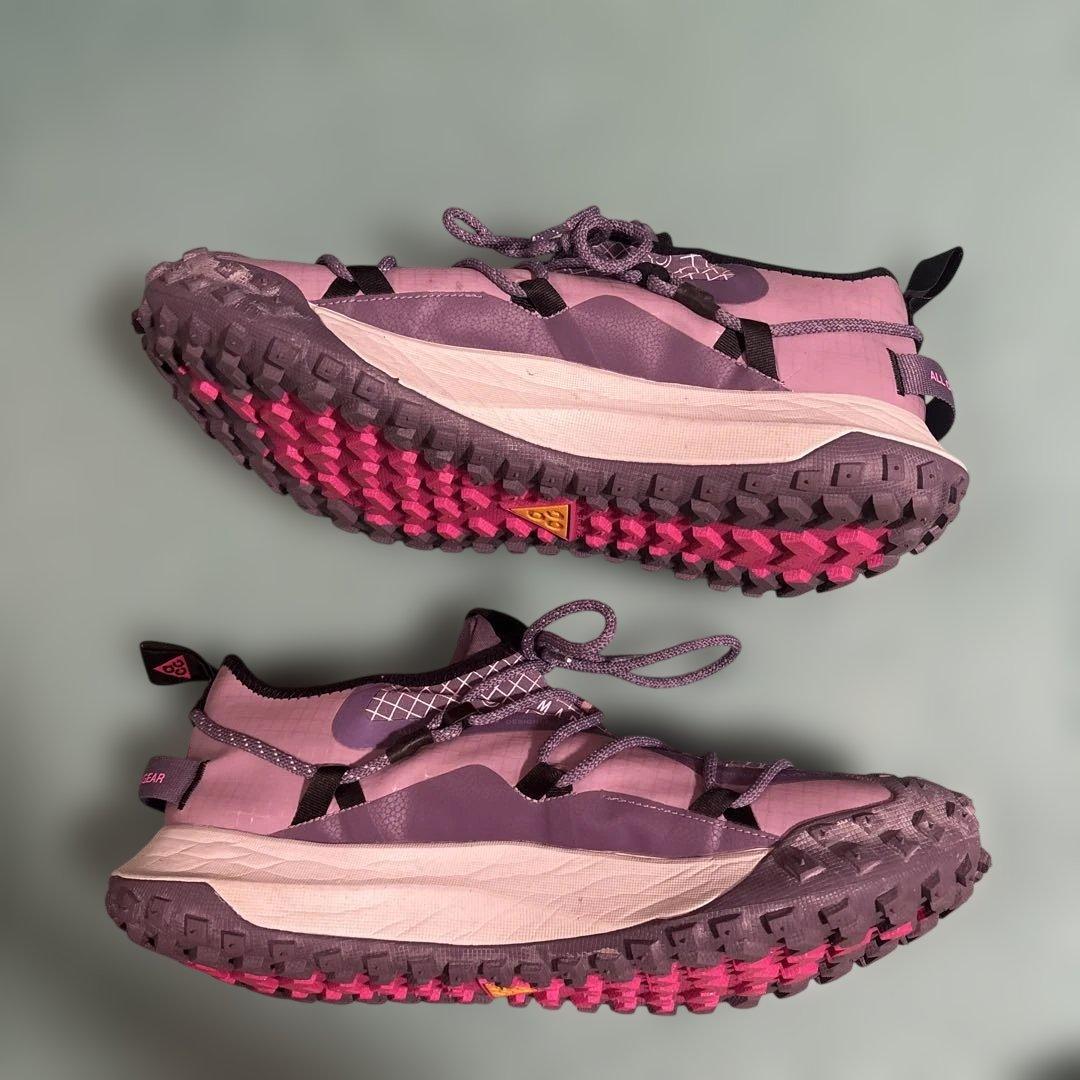 【30cm 】ナイキ　ACG マウンテン　フライ　low se