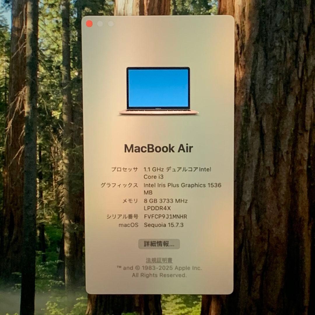 充電器無しMacBook Air SSD256GB ローズゴールド パソコンPC
