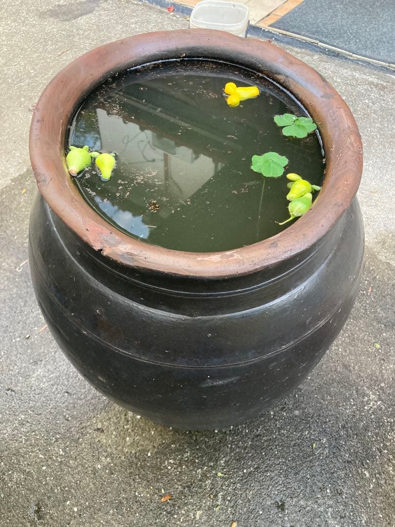 味わい深い 古い 大きな 陶器の甕 (かめ) 壺植木鉢 メダカの水鉢60センチ。
