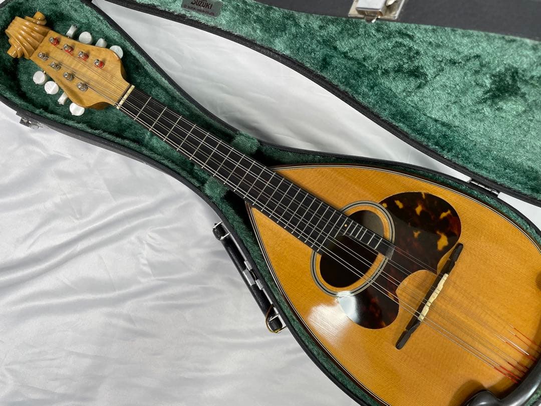 suzuki/スズキ マンドリン M-150 最上位機種